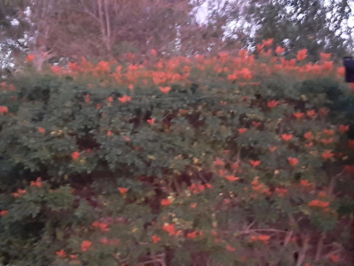 Appartamento Mountain View Swellendam Esterno foto