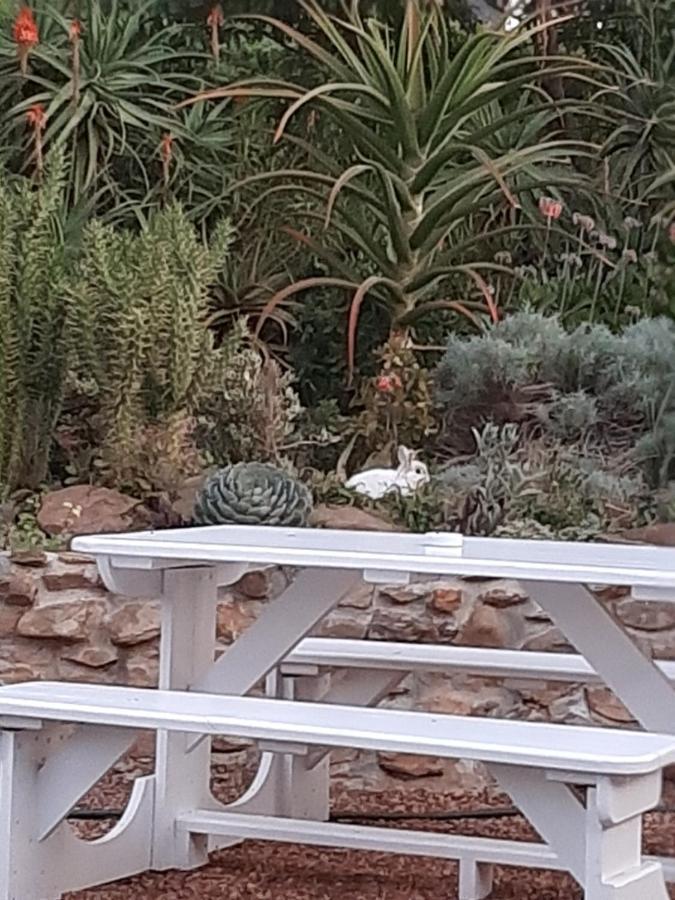 Appartamento Mountain View Swellendam Esterno foto